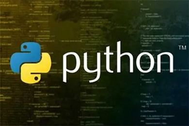 Python���̎�