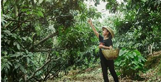 �����O(sh��)Ӌ�cֱ���\(y��n)�I-�V�����A��(li��n)�W(w��ng)�Ƽ��W(xu��)У