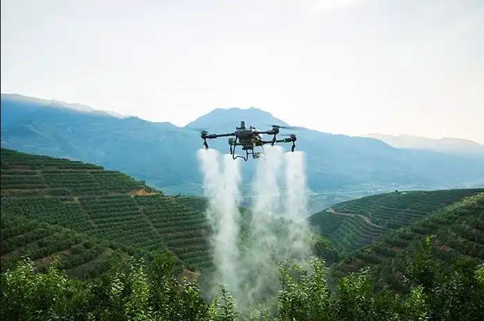 1745913808113757.jpg 1745913729754.jpg